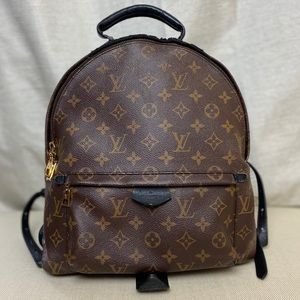 Louis Vuitton Palm Springs Backpack PM